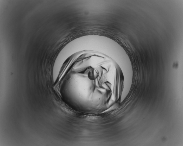 X0000099490332200806121358