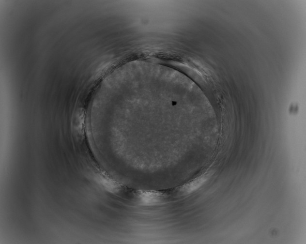 X0000099490336200806121358