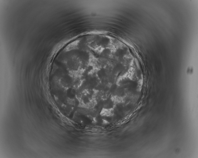 X0000099490337200806121357