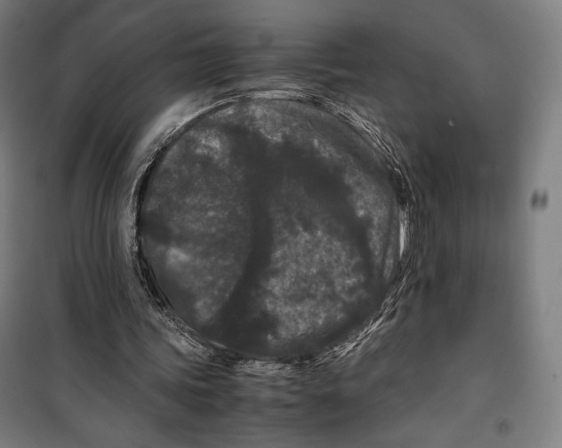 X0000099490339200806121357