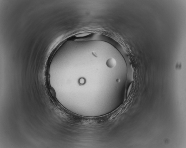 X0000099490340200806121357