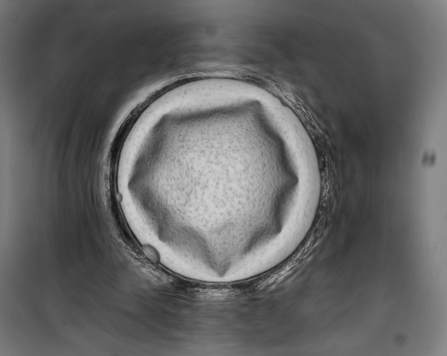 X0000099490342200806121357