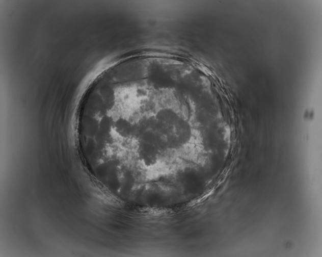 X0000099490343200806121357