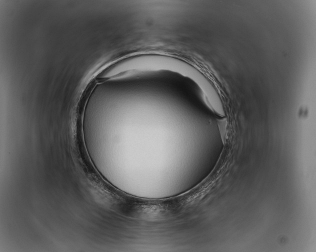 X0000099490344200806121357