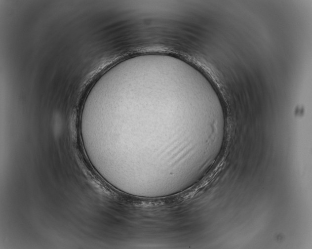 X0000099490345200806121357