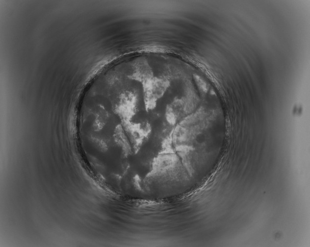 X0000099490347200806121357