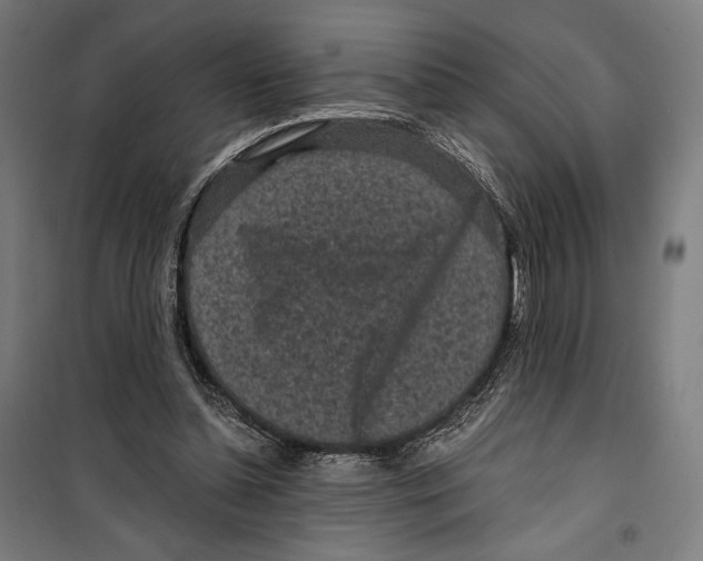 X0000099490348200806121357