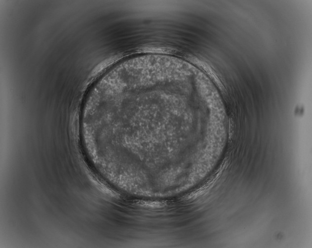 X0000099490349200806121357