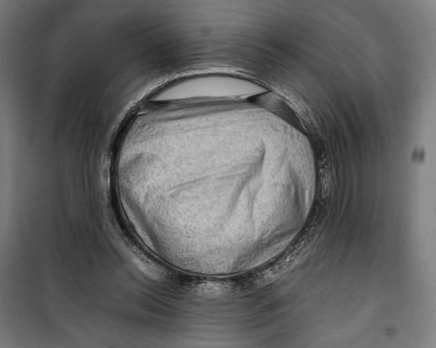 X0000099490350200806121357