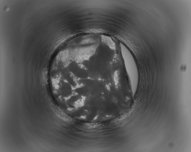 X0000099490351200806121357