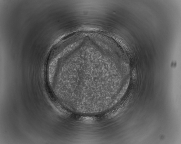 X0000099490352200806121357