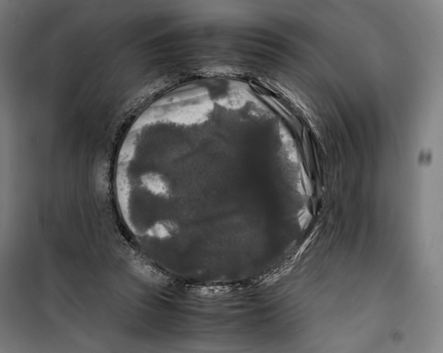 X0000099490353200806121357