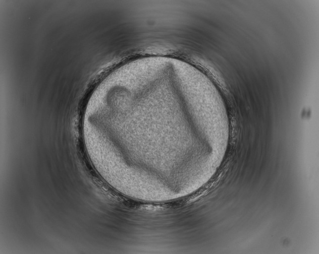 X0000099490354200806121357