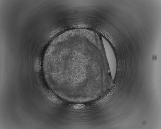 X0000099490355200806121357