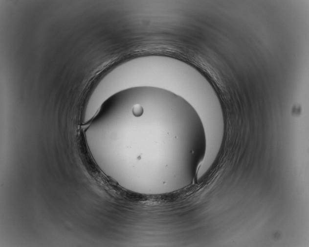 X0000099490356200806121357