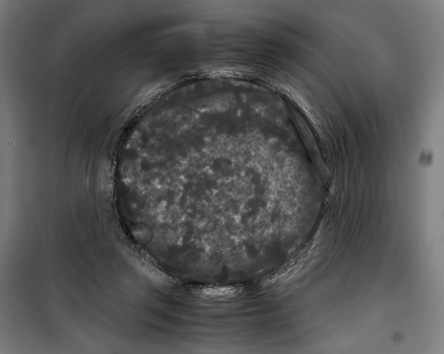 X0000099490357200806121357