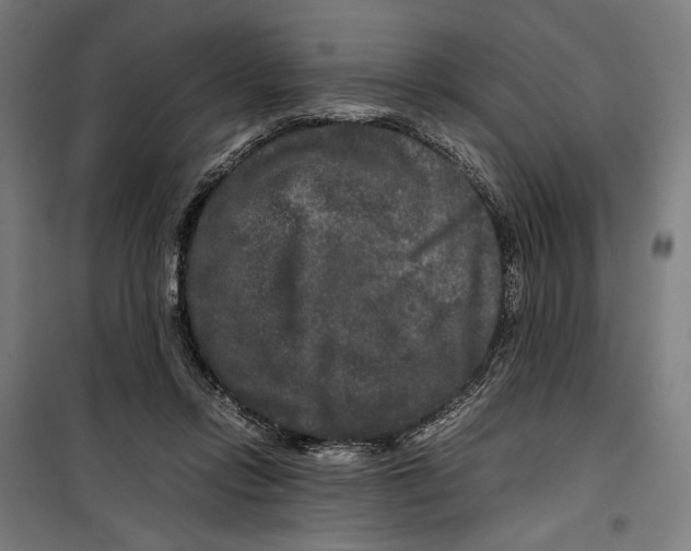 X0000099490358200806121357