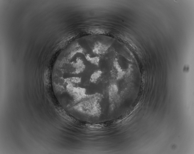 X0000099490359200806121357