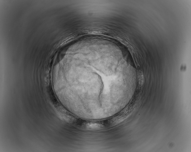 X0000099490360200806121357