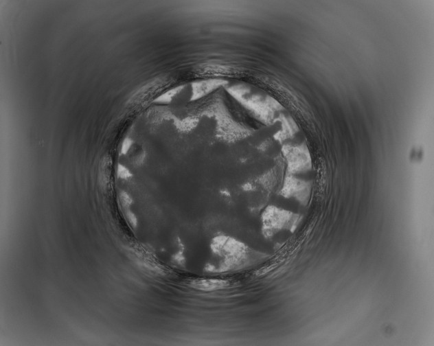 X0000099490361200806121357