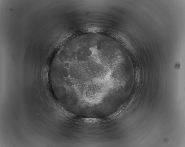 X0000099490363200806121357