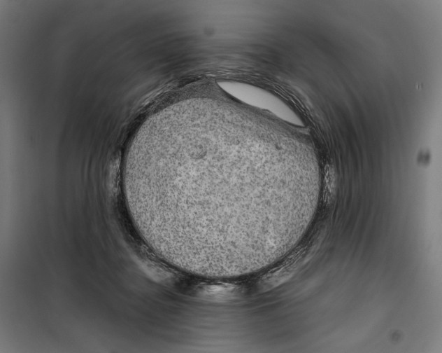 X0000099490364200806121357