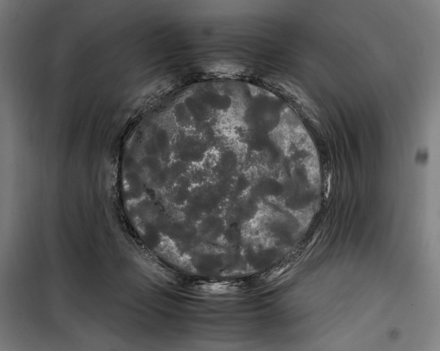 X0000099490365200806121357