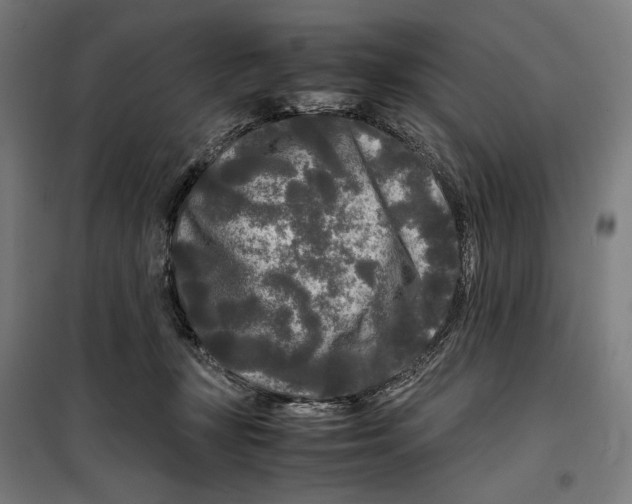 X0000099490367200806121357