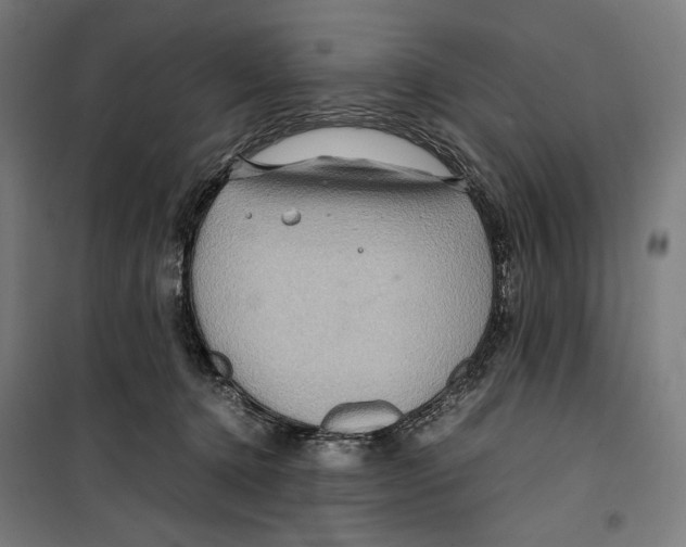 X0000099490368200806121358