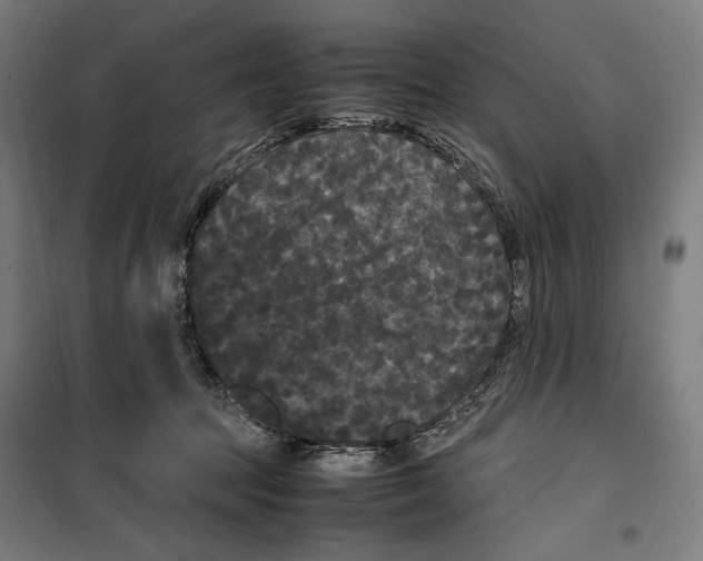 X0000099490369200806121358