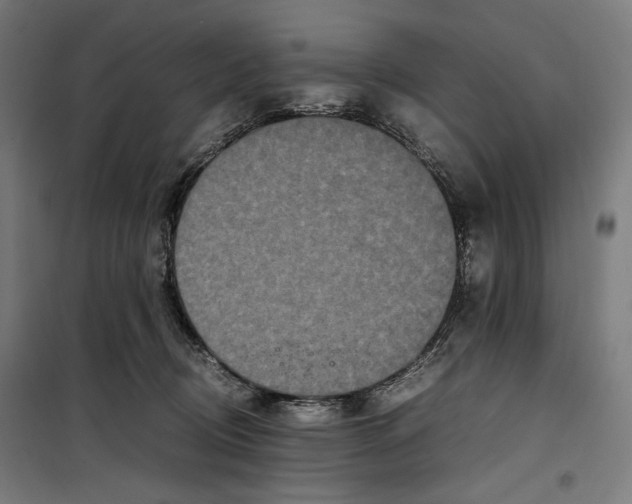 X0000099490370200806121358