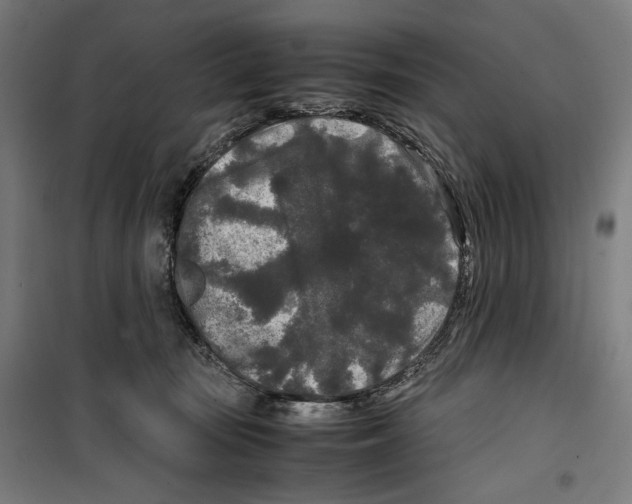 X0000099490371200806121358