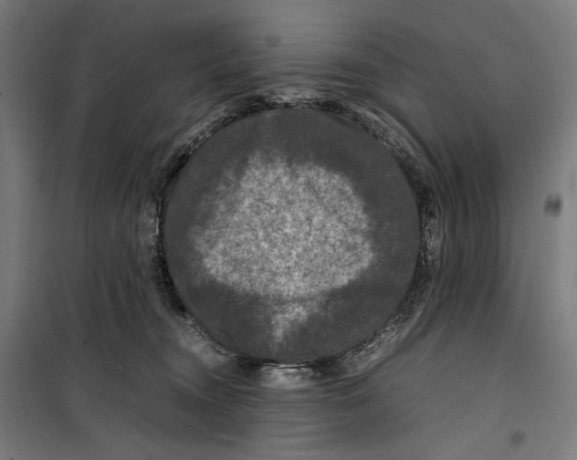 X0000099490372200806121358