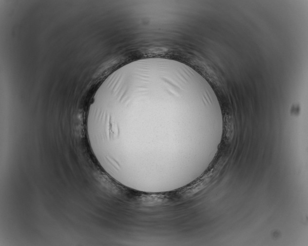 X0000099490378200806121358