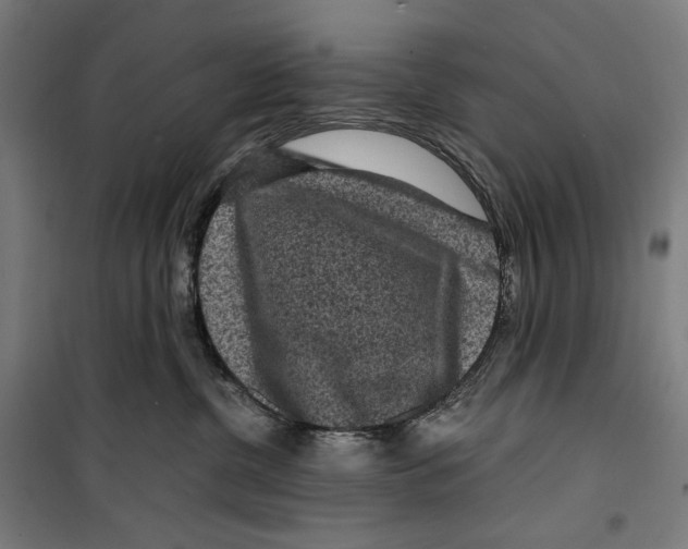 X0000099490380200806121358