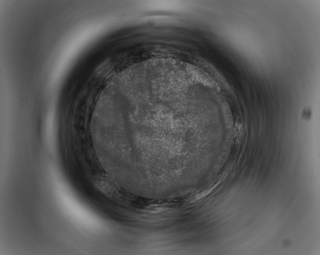 X0000099490381200806121358