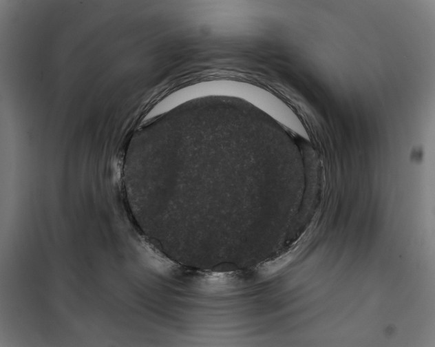 X0000099490382200806121358