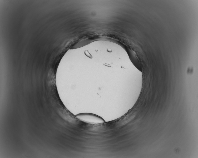 X0000099490384200806121358