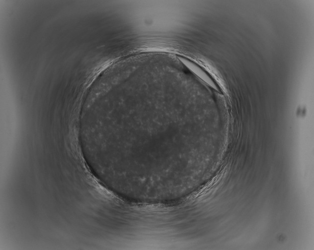 X0000099490385200806121357