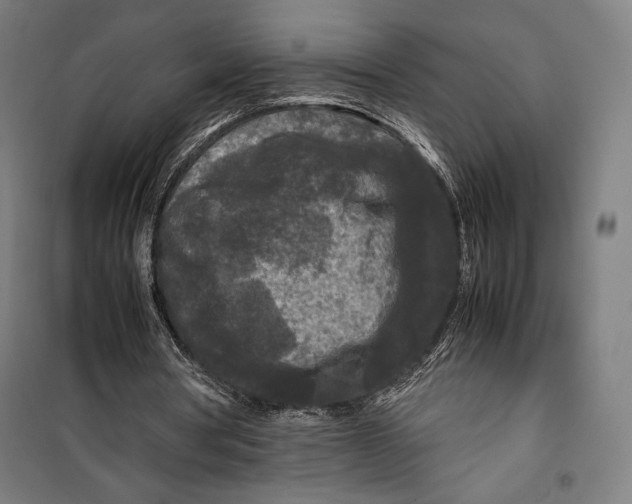 X0000099490386200806121357