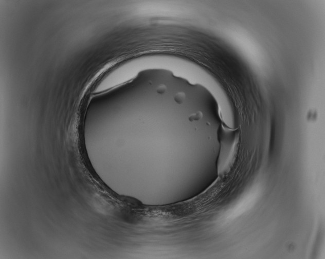 X0000099490387200806121357