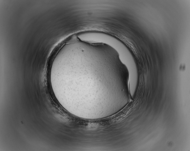 X0000099490388200806121357