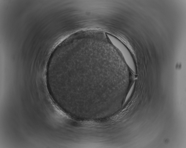 X0000099490389200806121357