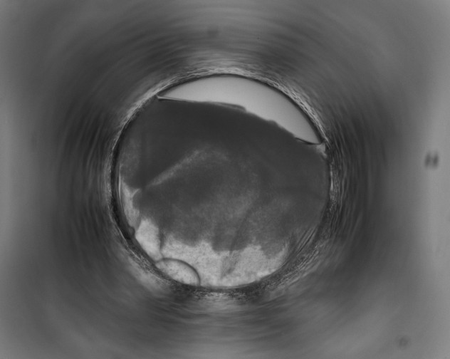 X0000099490390200806121357