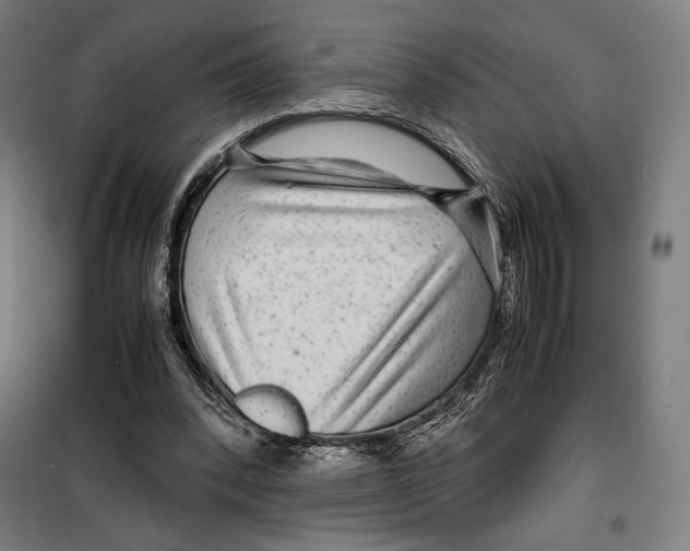 X0000099490392200806121357