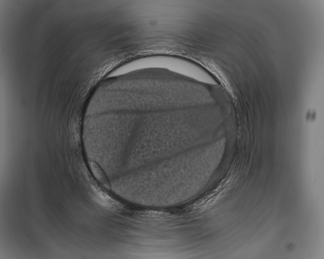 X0000099490393200806121357