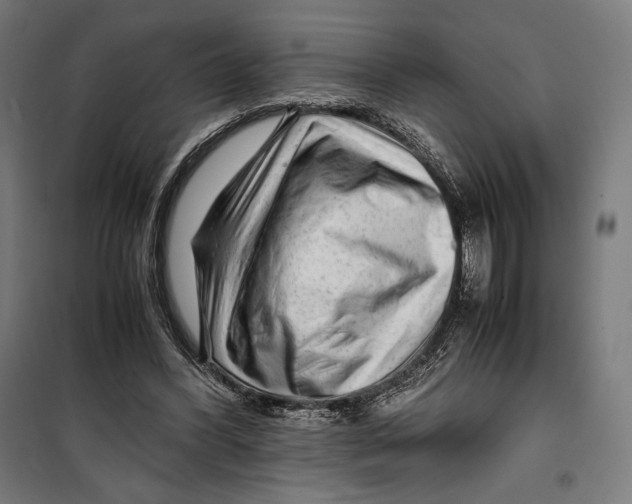 X0000099490396200806121357