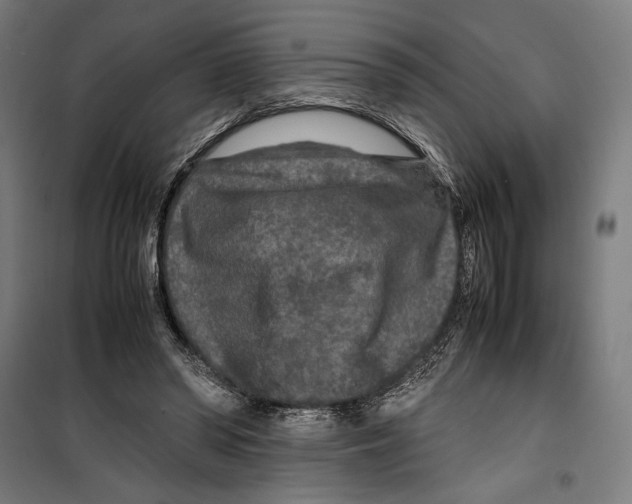 X0000099490398200806121357