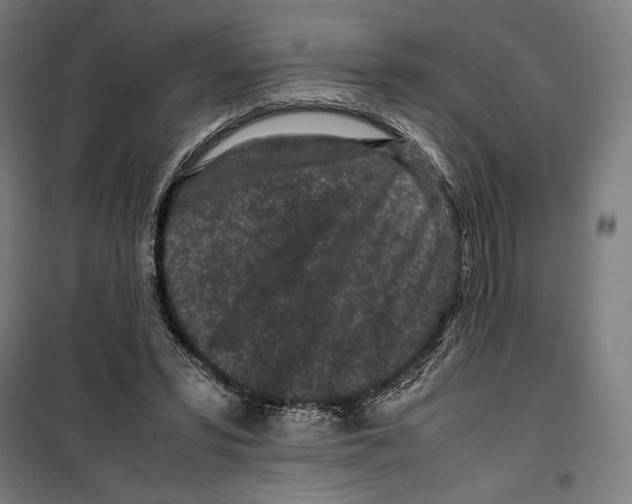 X0000099490399200806121357