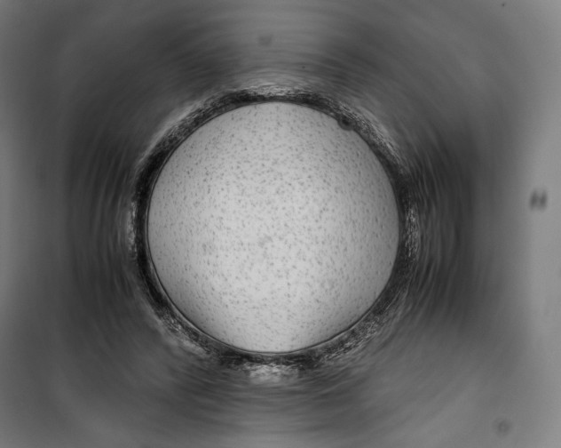 X0000099490400200806121357